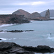 galapagos