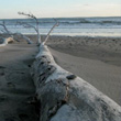 Norther California