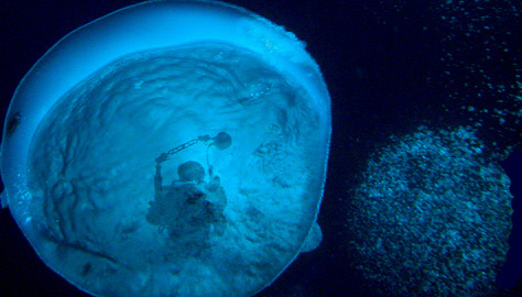 Diver
